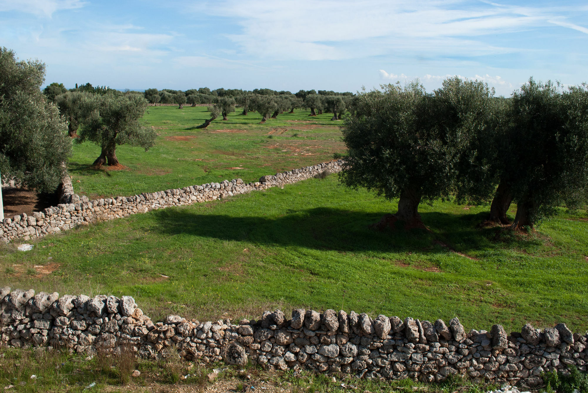 Masseria Lama D'Impisa Fasano Dış mekan fotoğraf